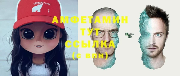 мдпв Корсаков