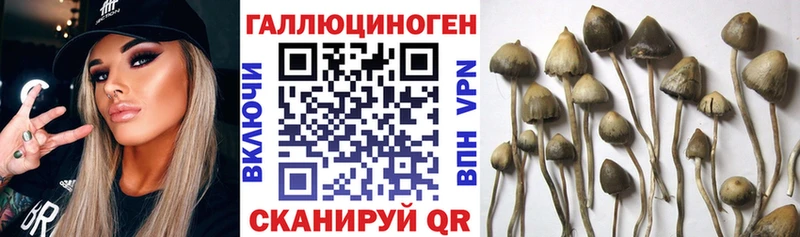 Псилоцибиновые грибы ЛСД Воткинск